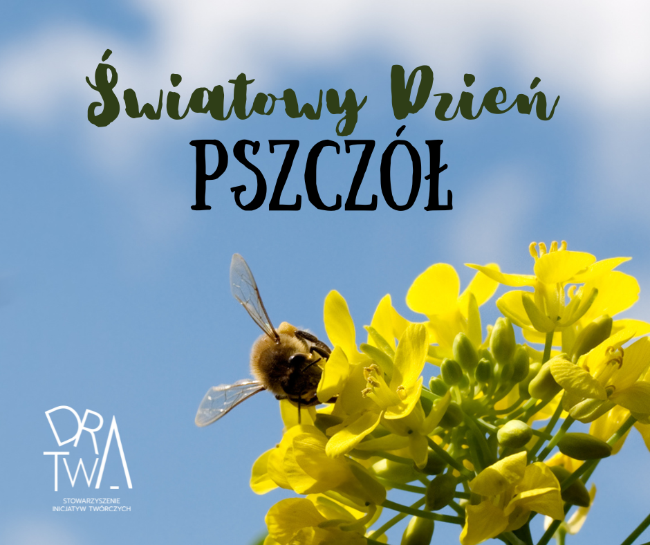 20 maja – Światowy Dzień Pszczół!